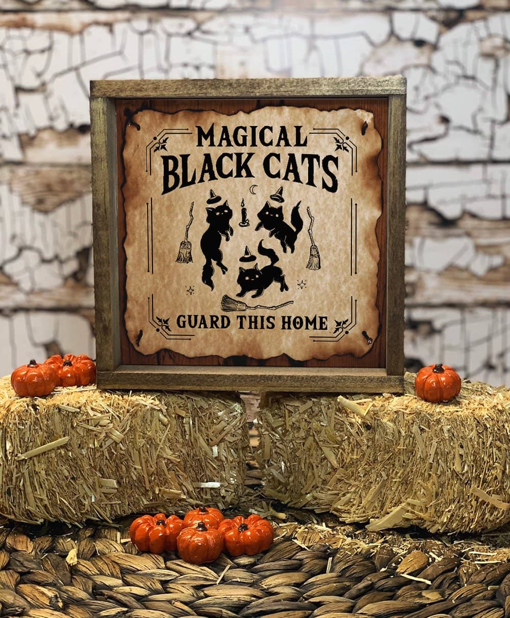 Magical Black Cats Poster