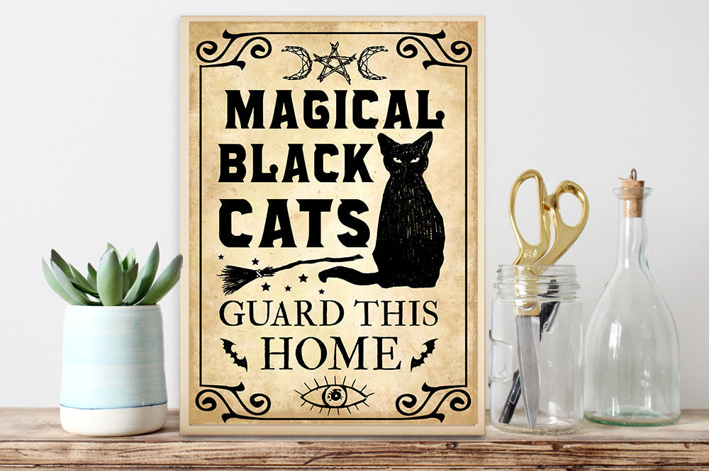 Magical Black Cats