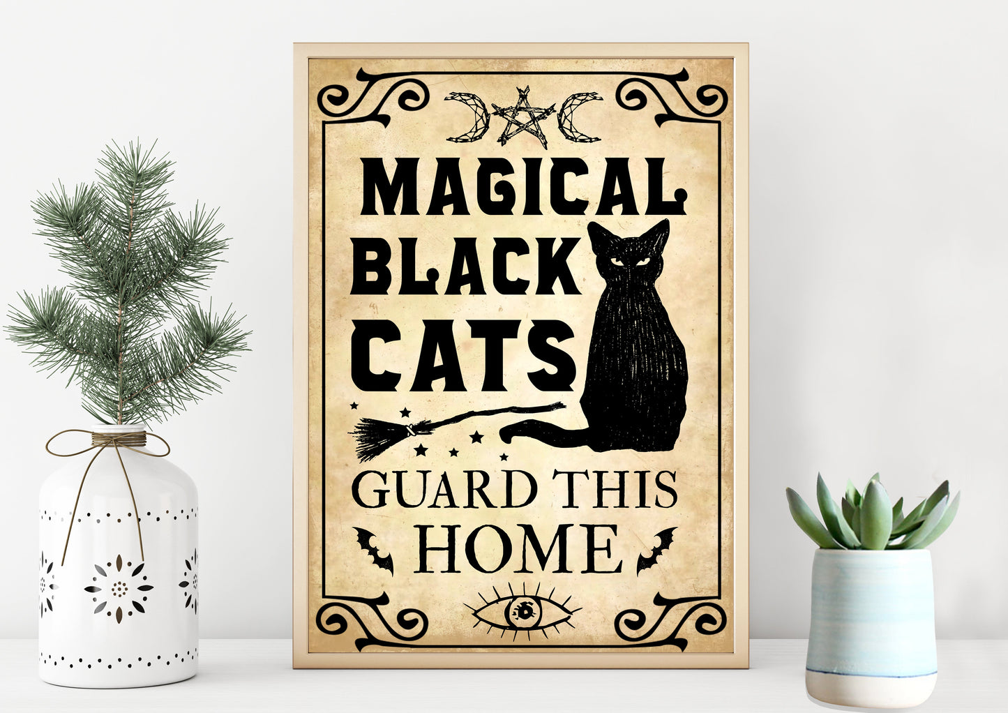 Magical Black Cats