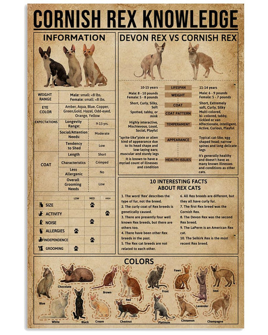 Cornish Rex Cat Knowledge-9289