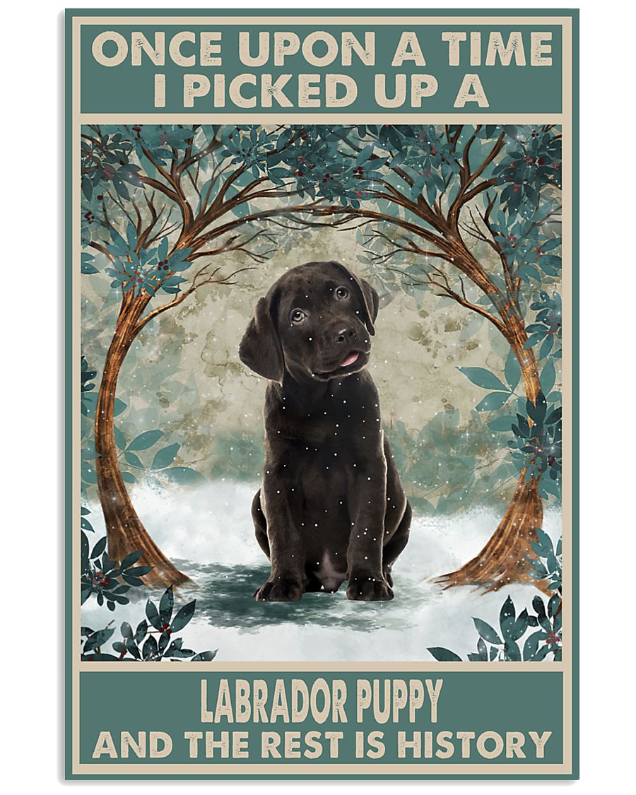 Chocolate Labrador Puppy Once Upon A Time-7218