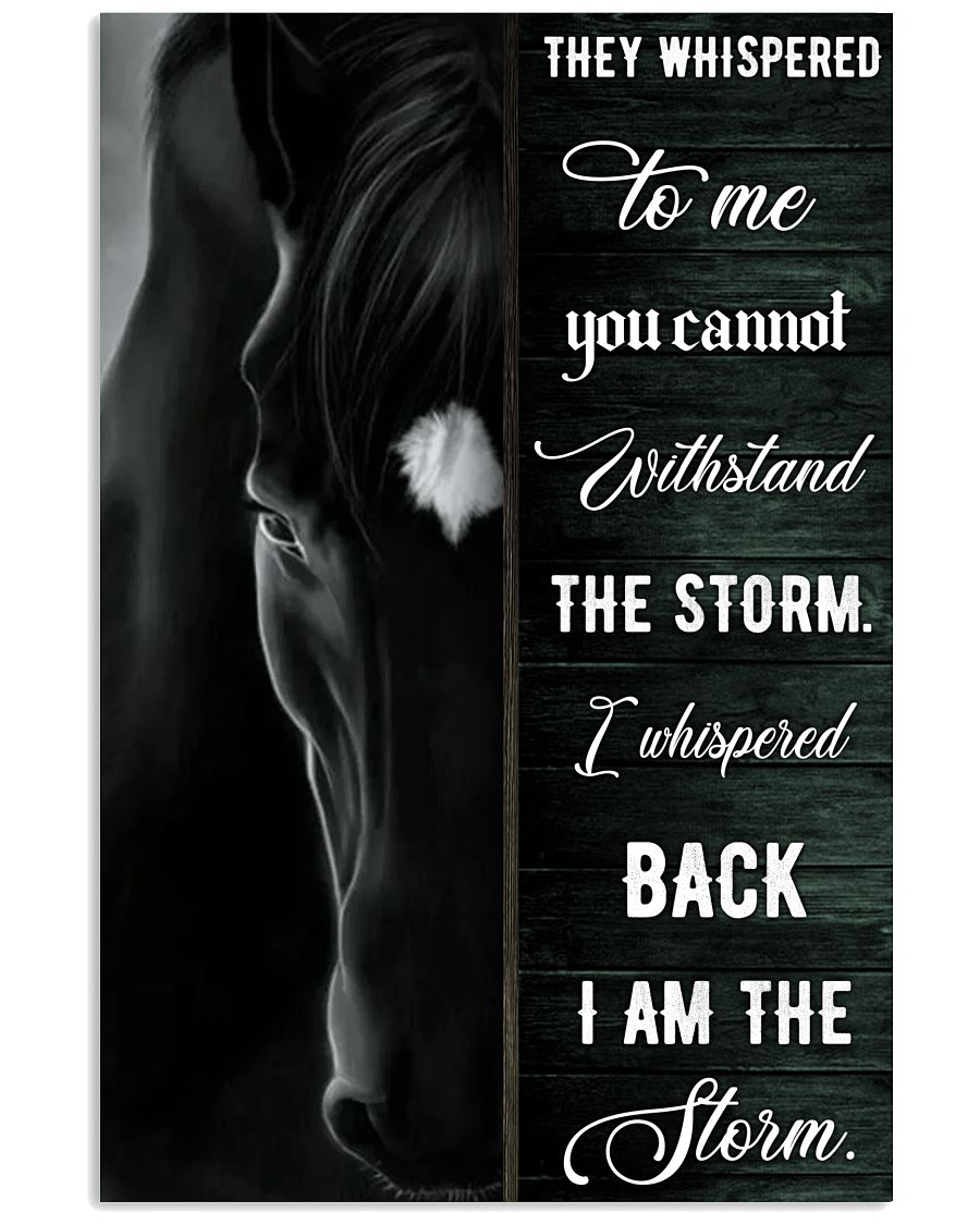 Black Horse I Am The Storm-7515