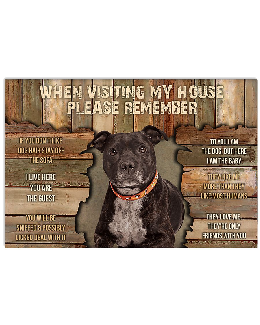  Staffordshire Bull Terrier When Visiting-8928