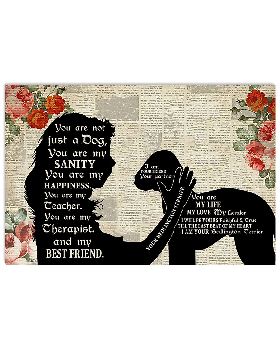 Bedlington Terrier I Am Your Friend-8821