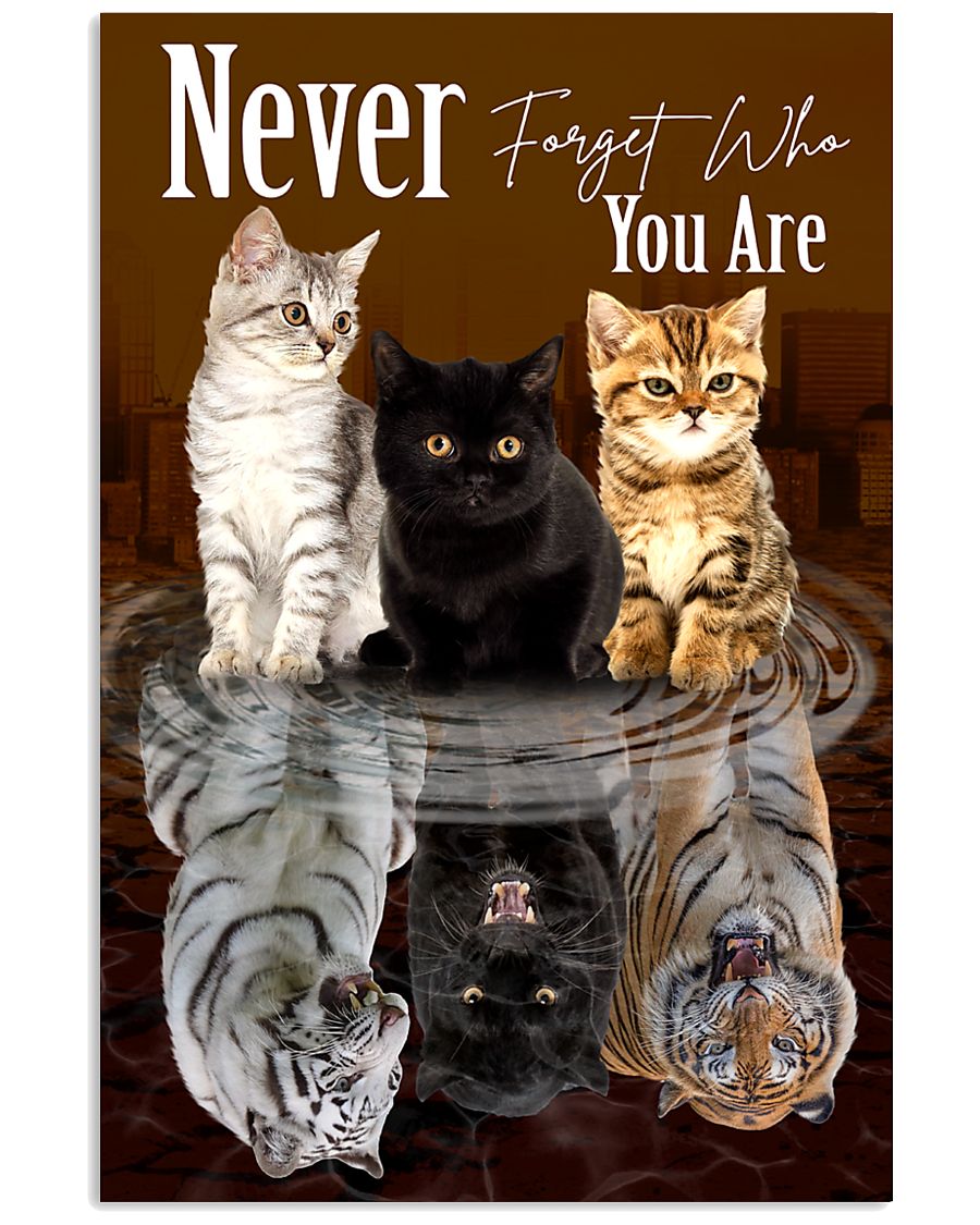 cat-reflect-never-forget-poster-7393