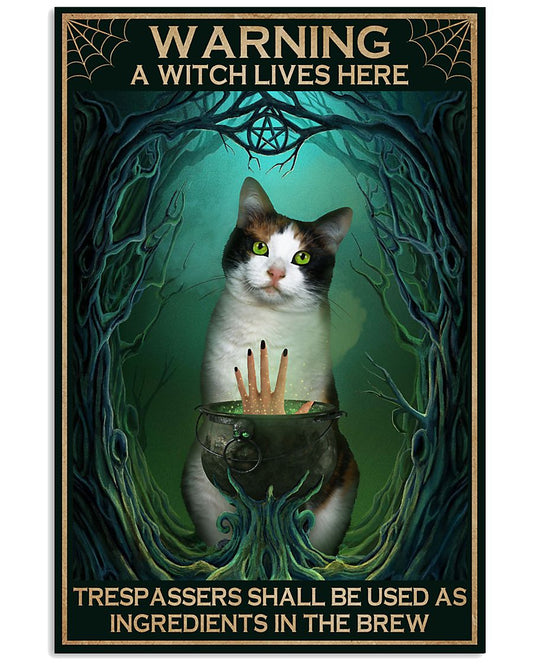 A Witch Lives Here Calico Cat-9706