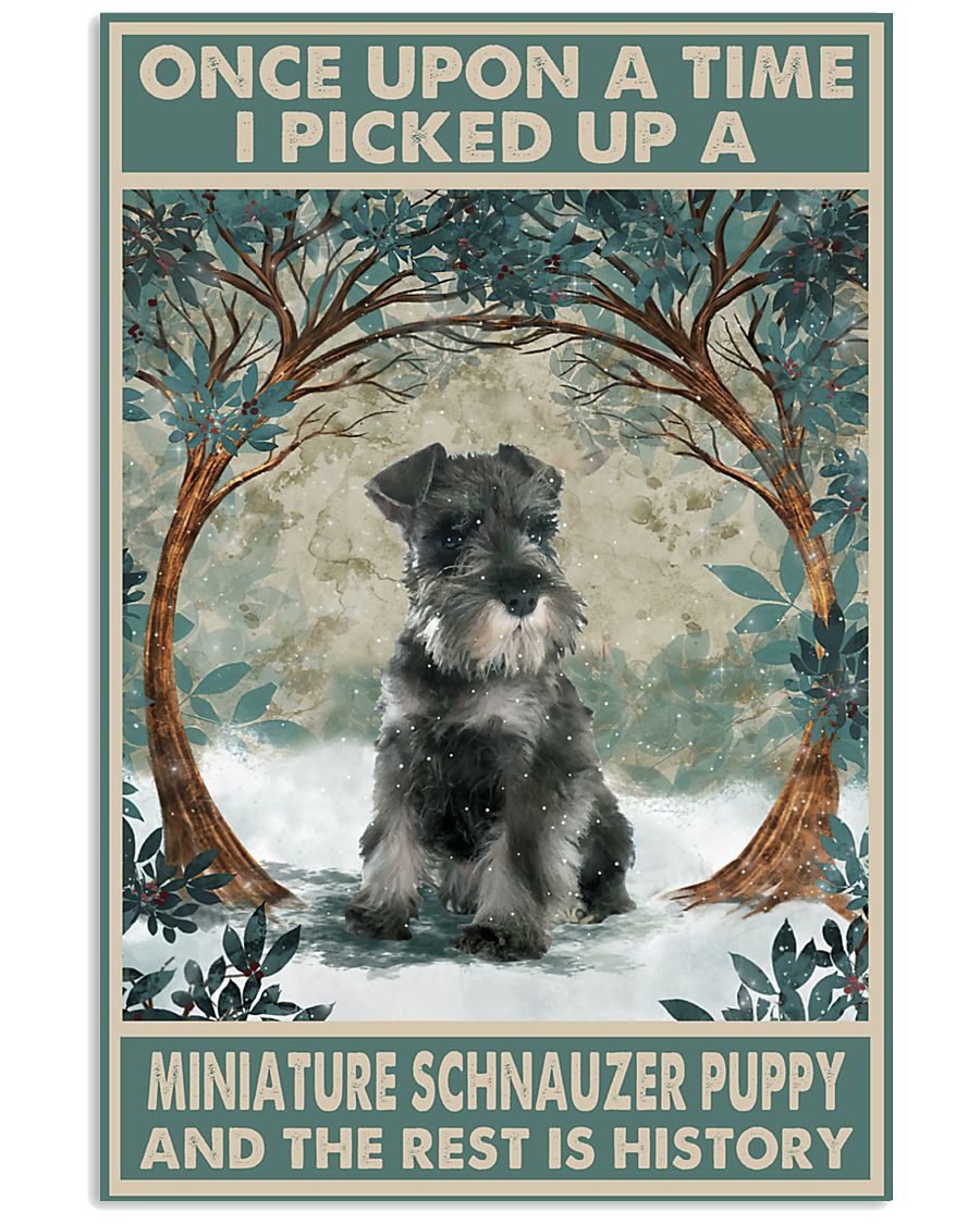 Schnauzer Puppy Once Upon A Time-9651