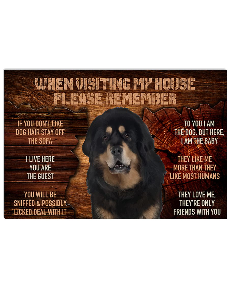 Black and Tan Tibetan mastiff visiting my house-8532