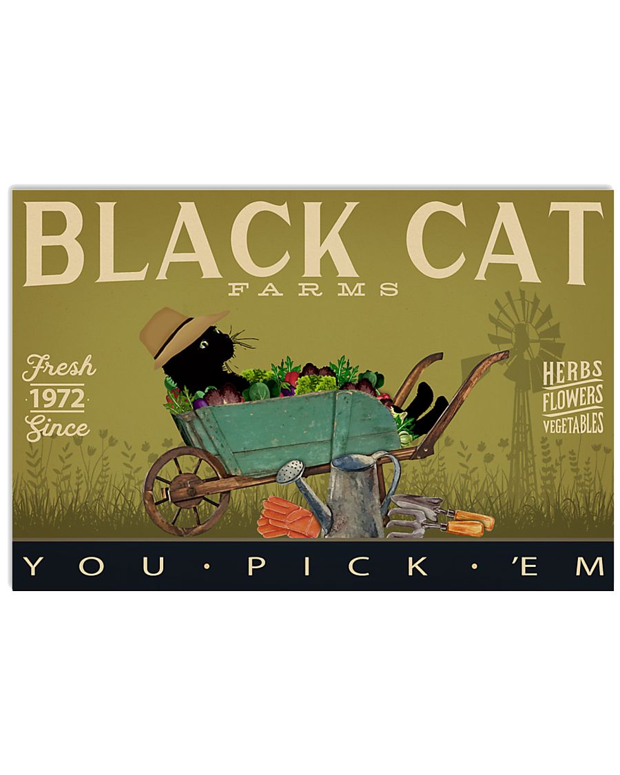 Black Cat Farm-1692