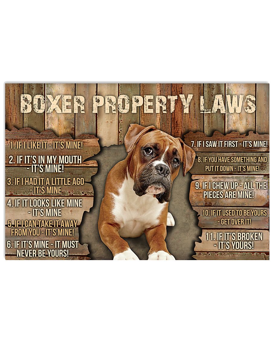 Boxer Property Laws -4165