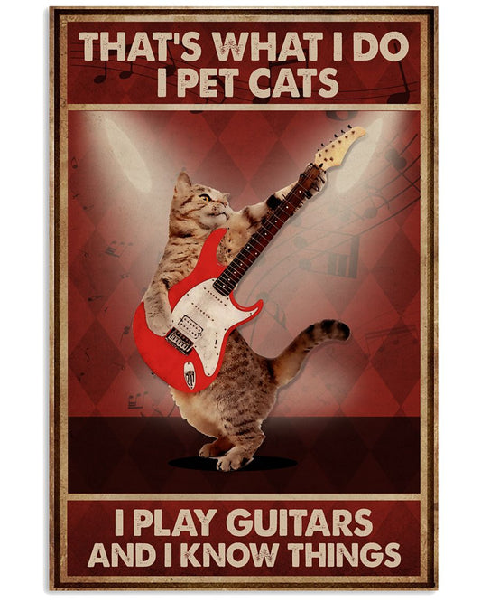 Guitar I Pet Cat I Play-1688