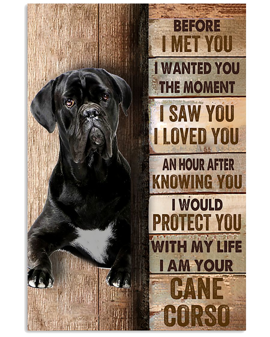 Cane Corso Before I Met You-1518