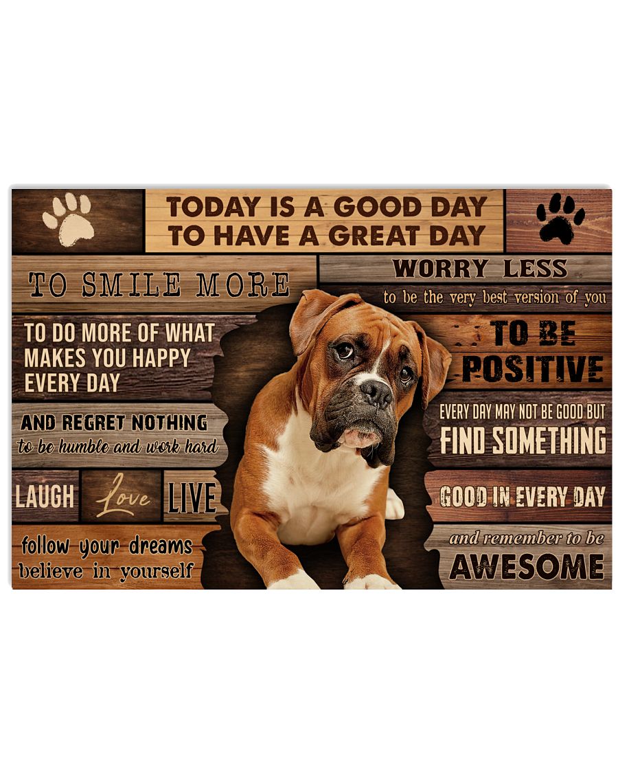 Boxer Good Day-4098