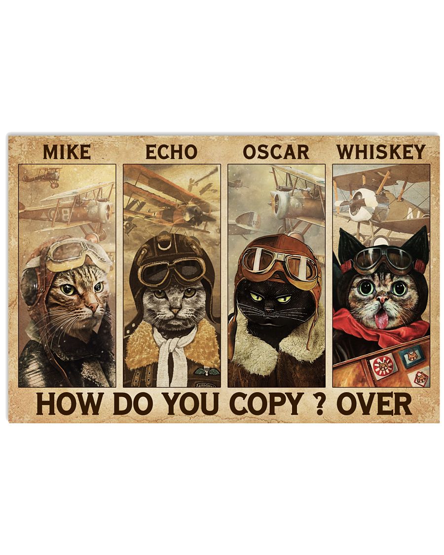 Cats Pilot How Do You Copy-6631