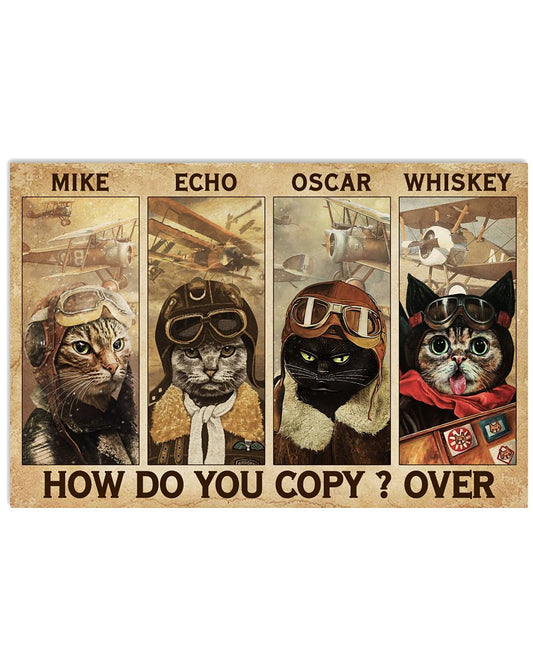 Cats Pilot How Do You Copy-6631