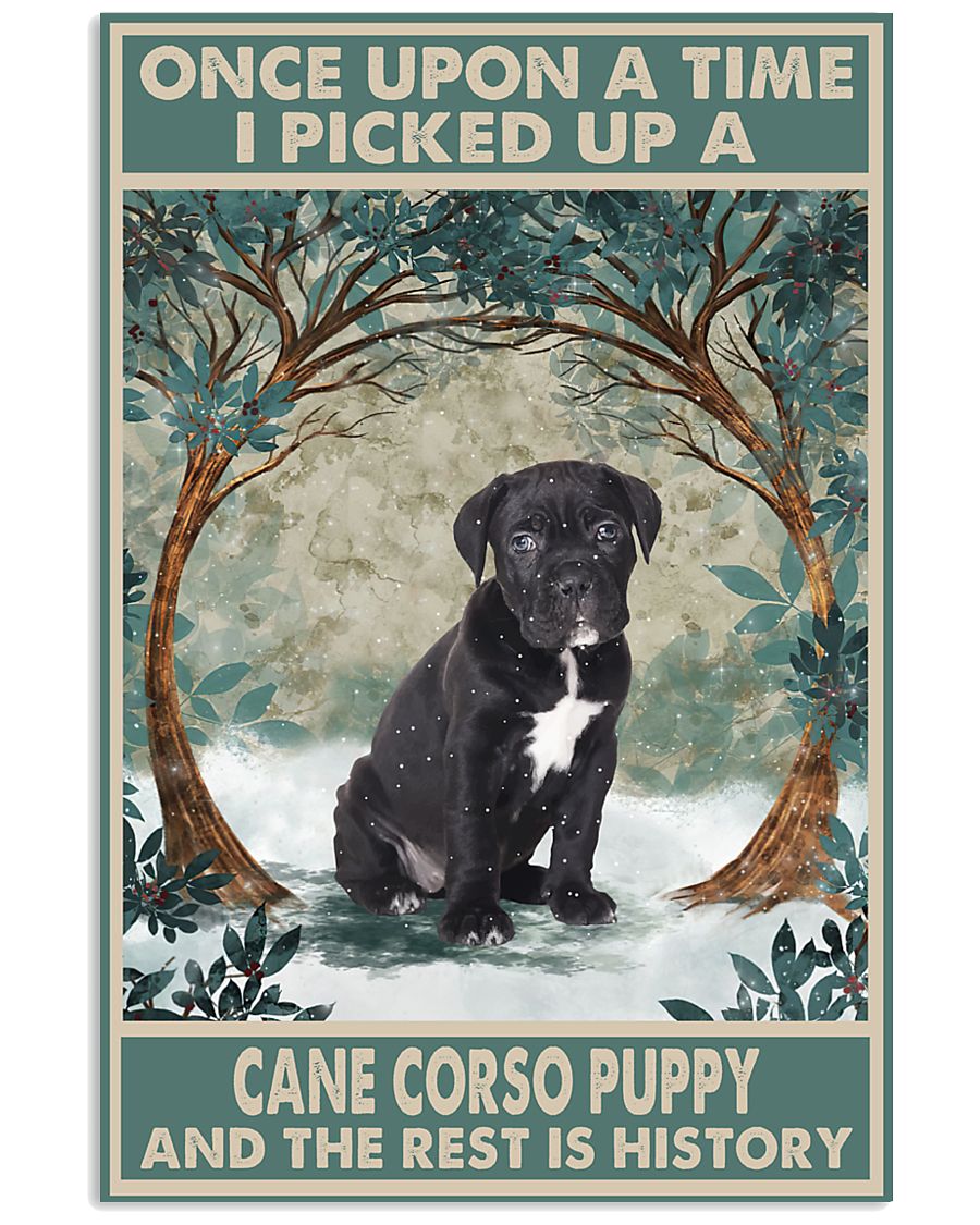 Cane Corso Puppy Once Upon A Time-9348