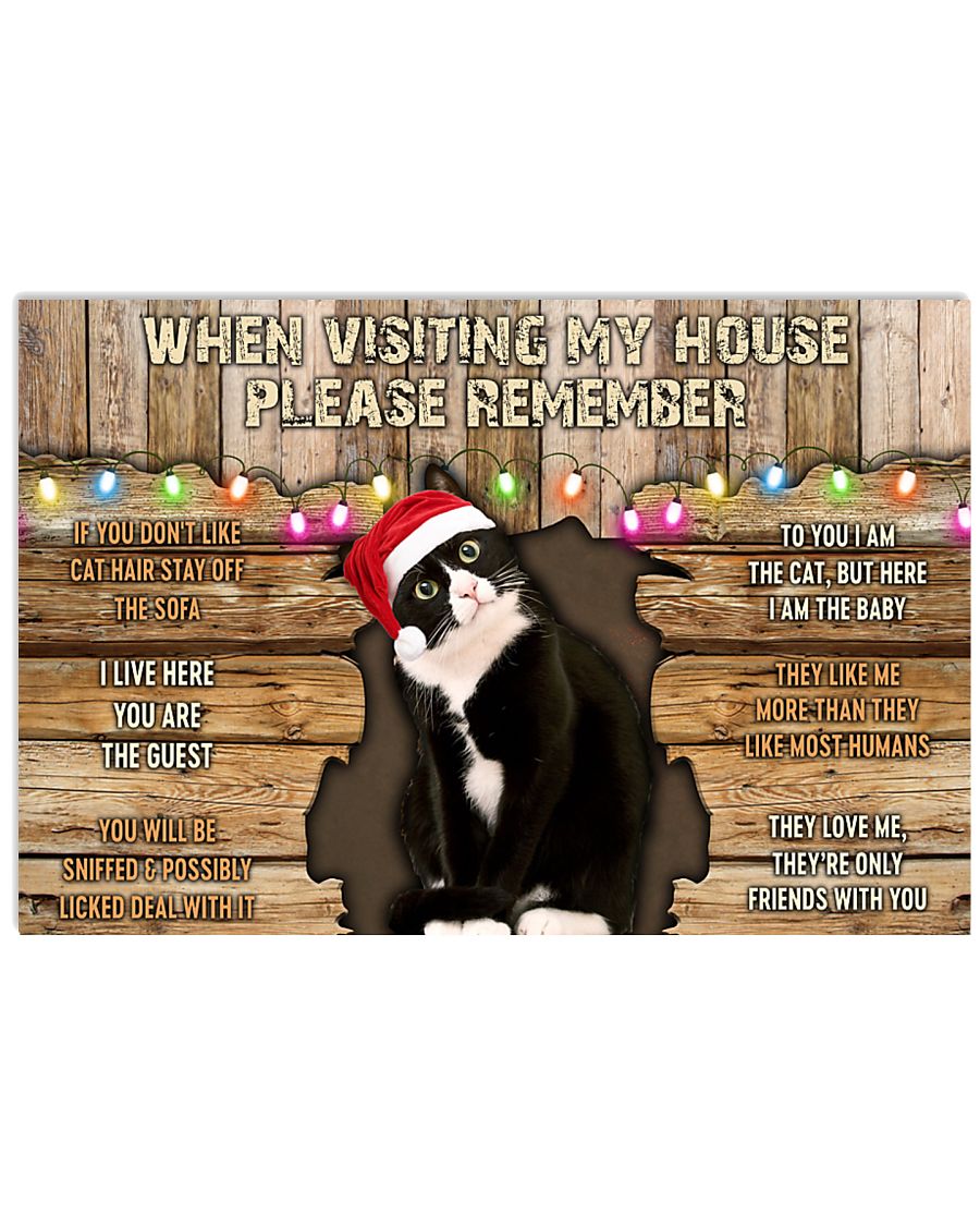 tuxedo cat when visiting my house xmas ttb-6202