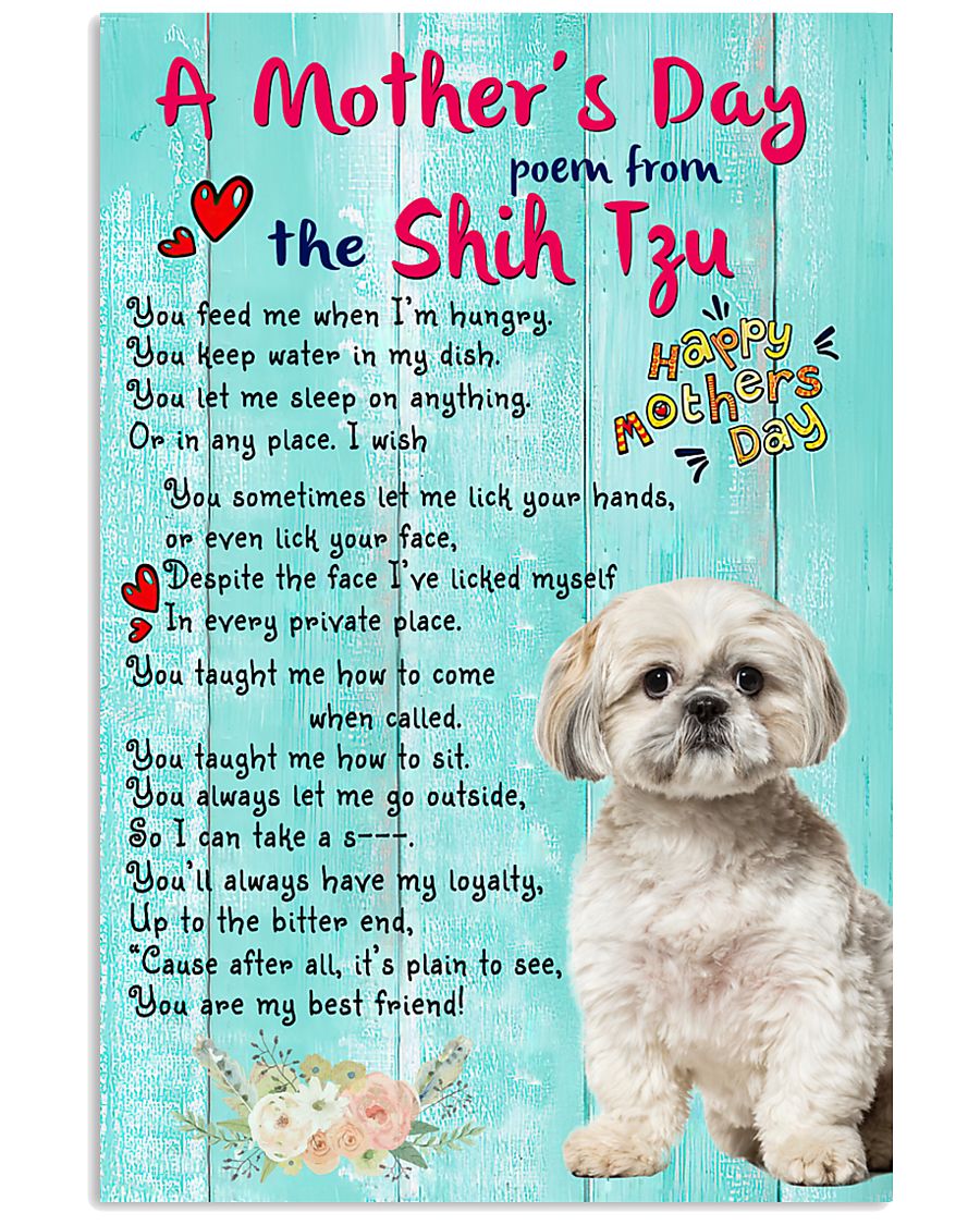 Shih Tzu My Best Friend-2409