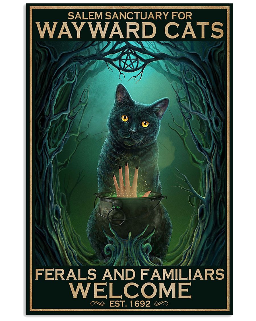 Salem Sanctuary Wayward Black Cat-1256