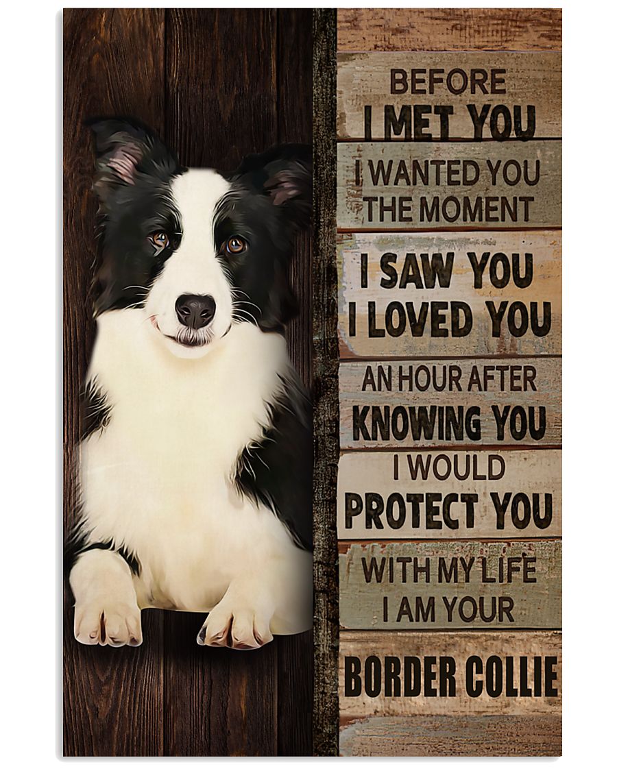 Border Collie Before I Met You-7386