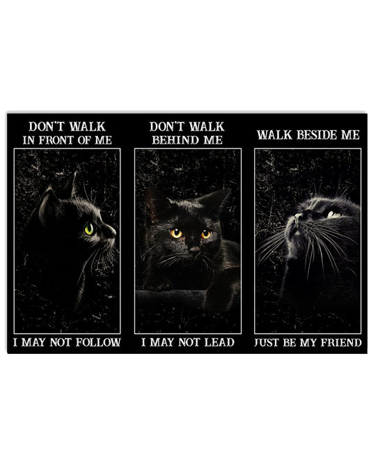 Black Cat Walk Beside Me Just Be My Friend-1357