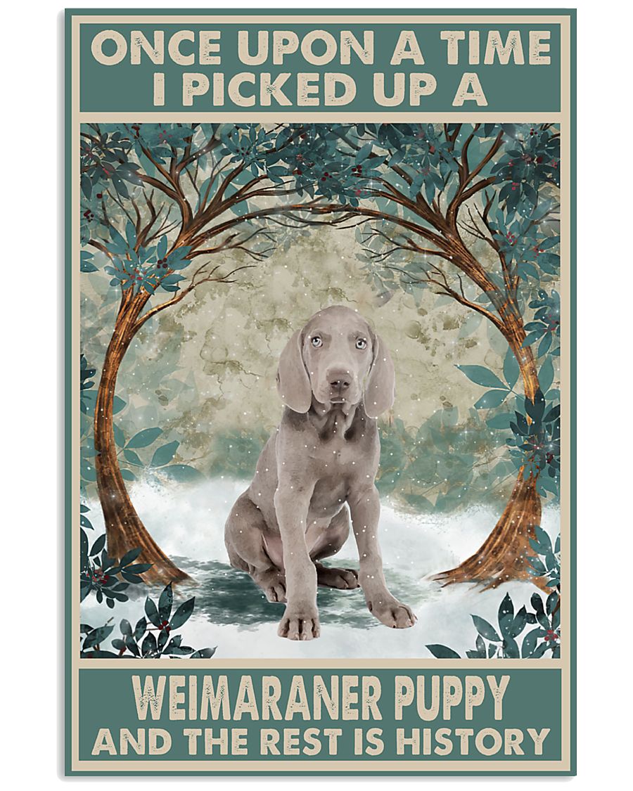 Weimaraner Puppy Once Upon A Time-5239