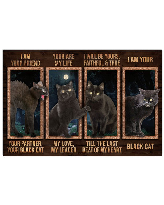 I Am Your Black Cat-8228