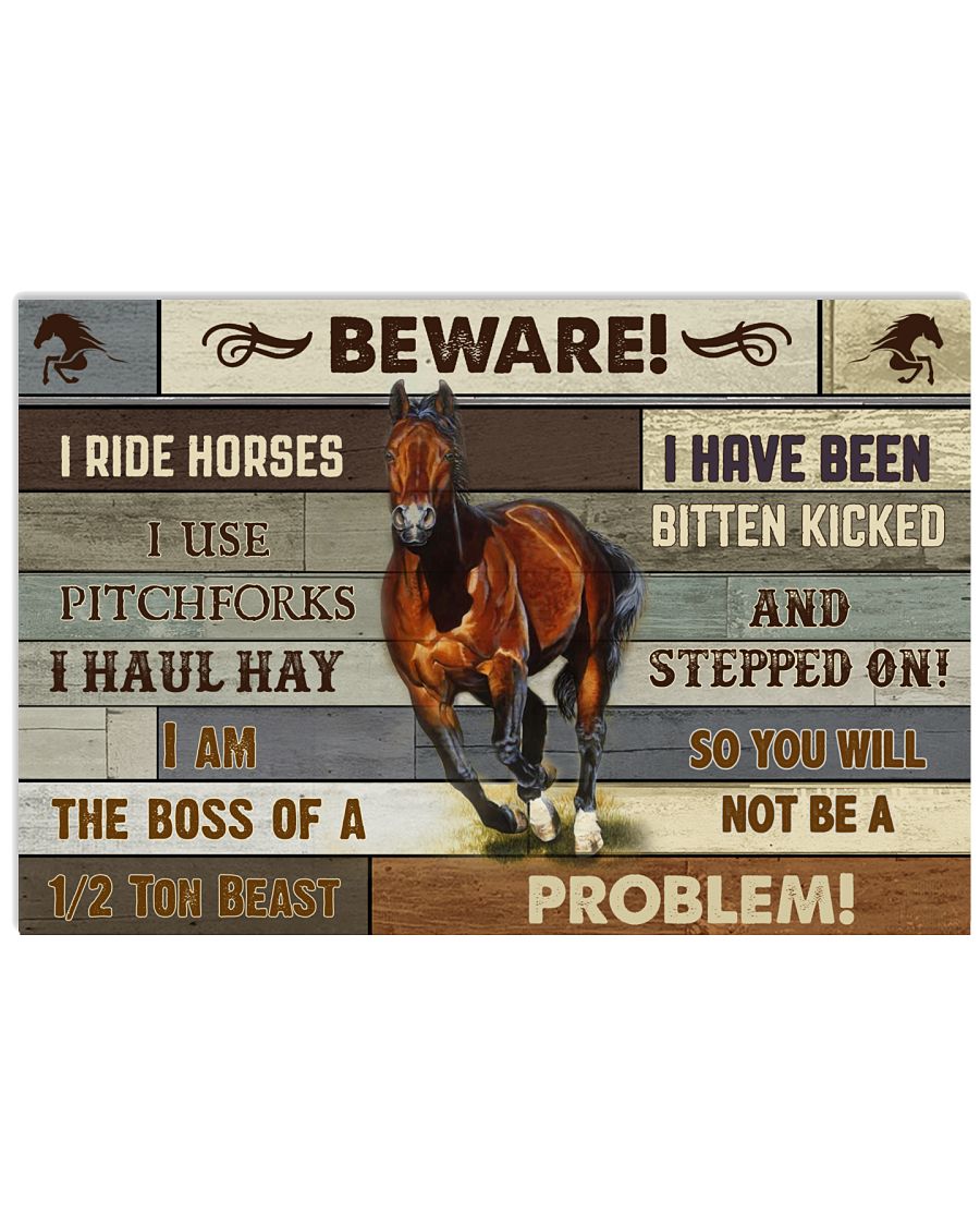 Horse Beware -6909