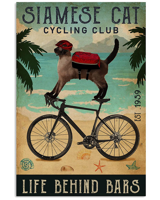 Cycling Club Siamese cat-3767