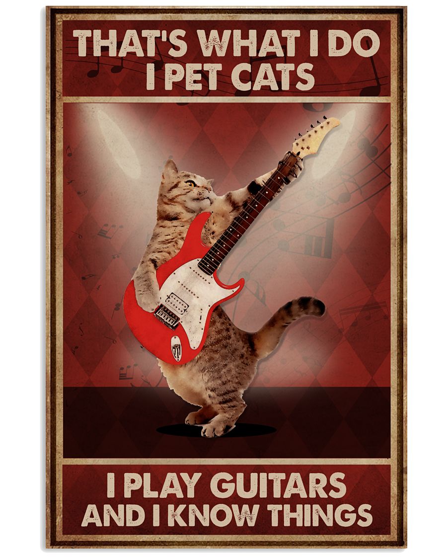 Guitar I Pet Cat I Play-2989