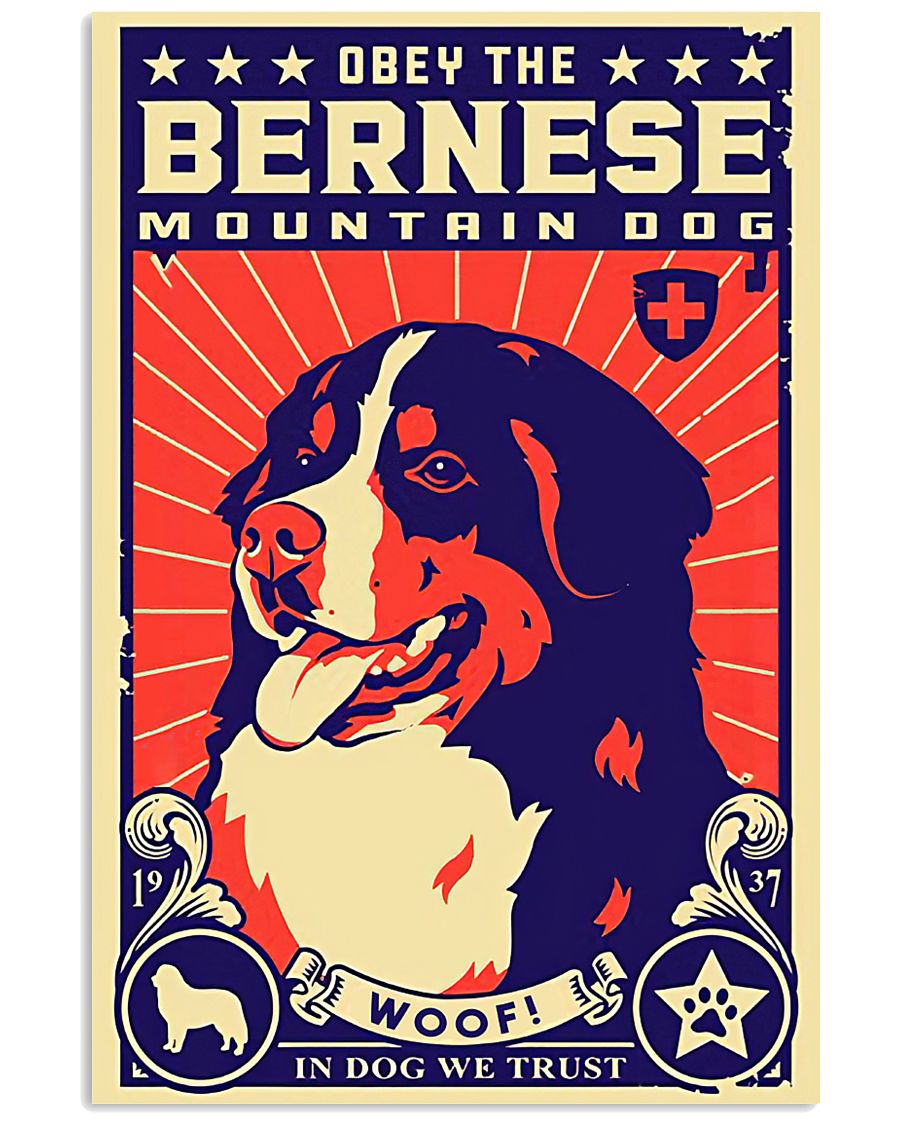 Bernese Mountain Dog Obey-5174