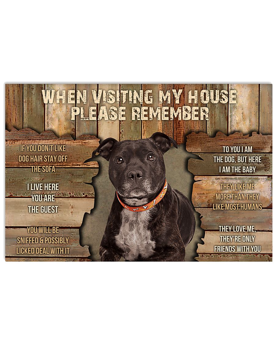  Staffordshire Bull Terrier When Visiting-8928