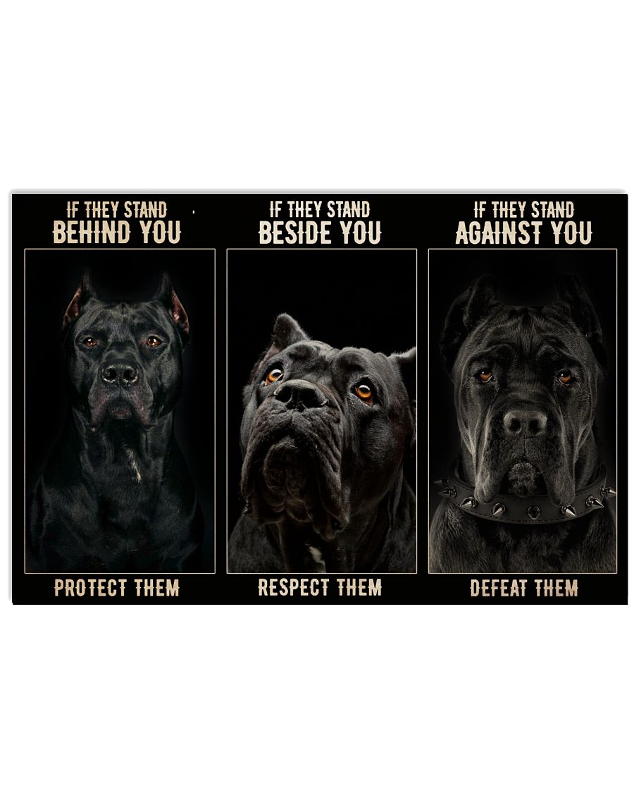 Cane Corso If They Stand -7419