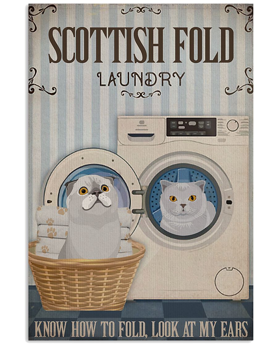 Scottish Fold Cat And Laundry-7342