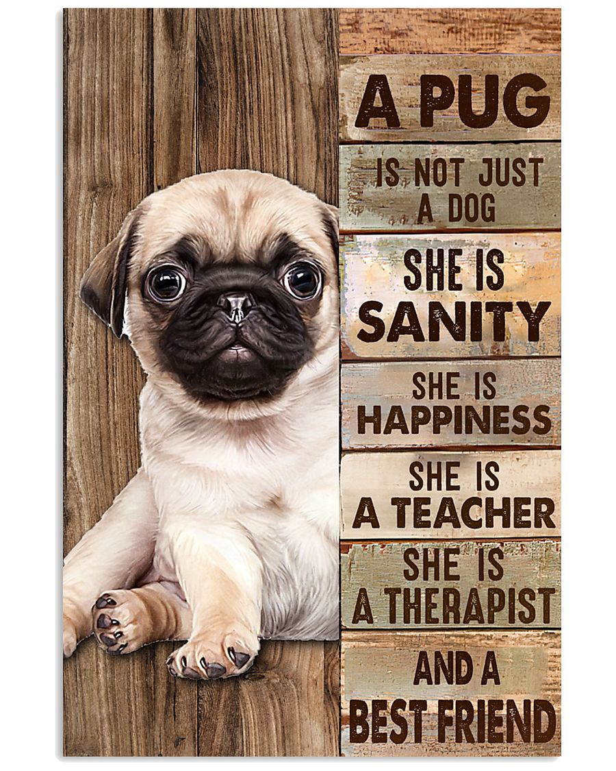 A Pug Is Not Just A Dog 2-9094