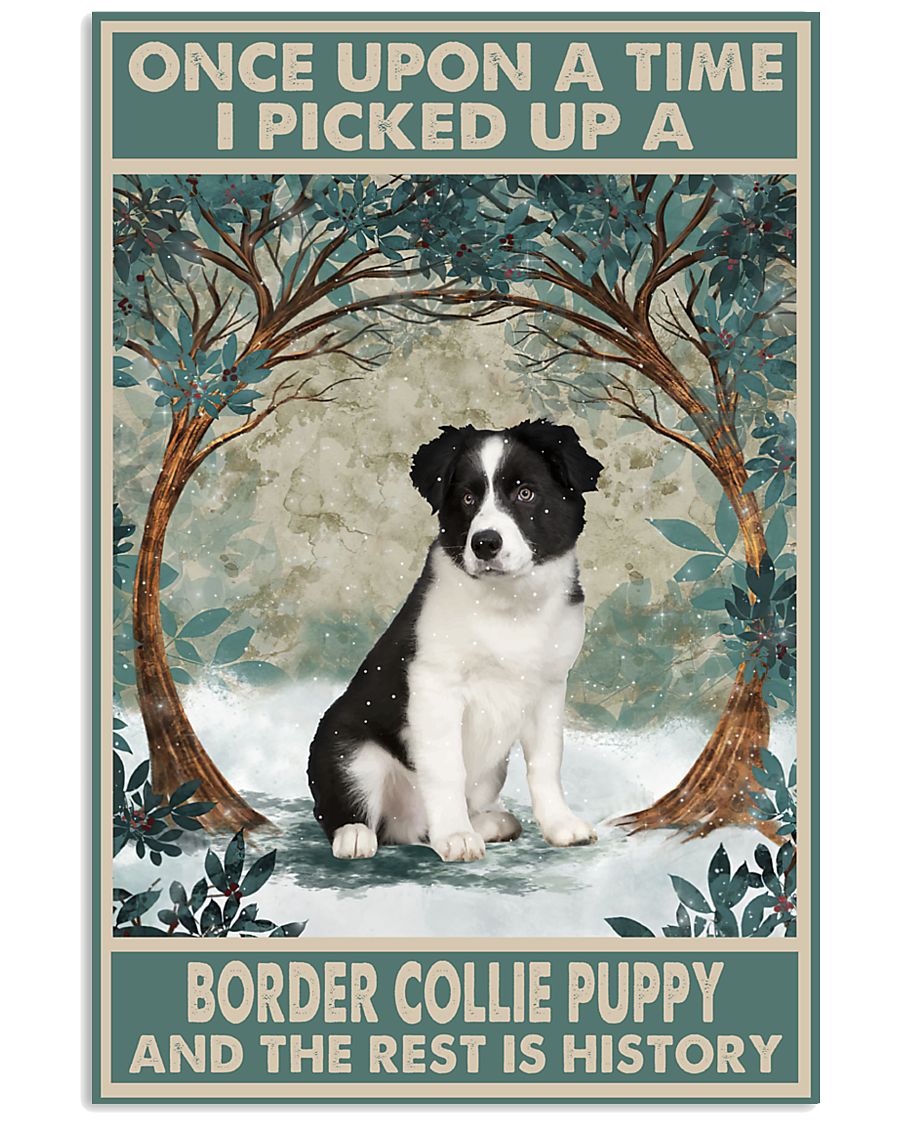 Border Collie Puppy Once Upon A Time-1264