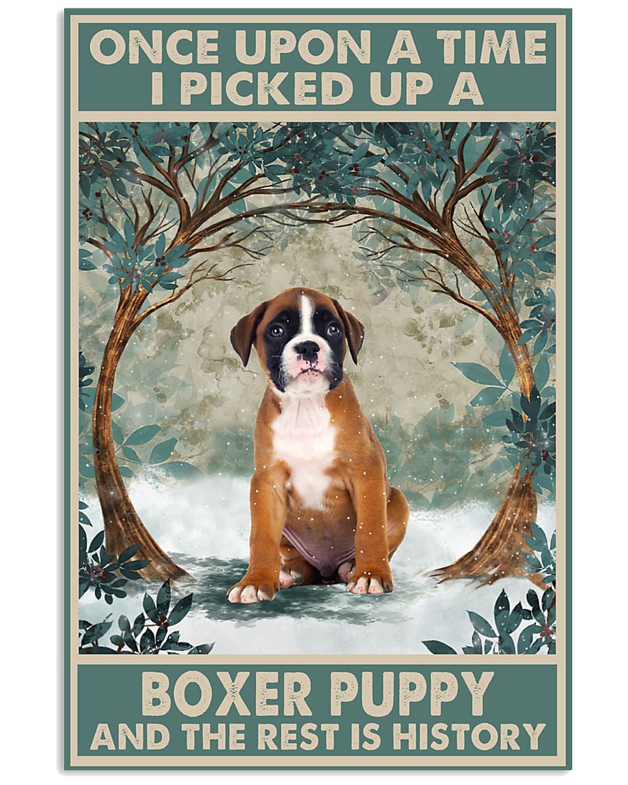 Boxer Puppy Once Upon A Time-4295