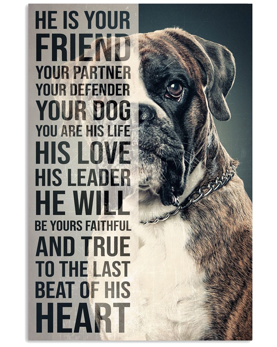 Boxer He Is You Friend-5933