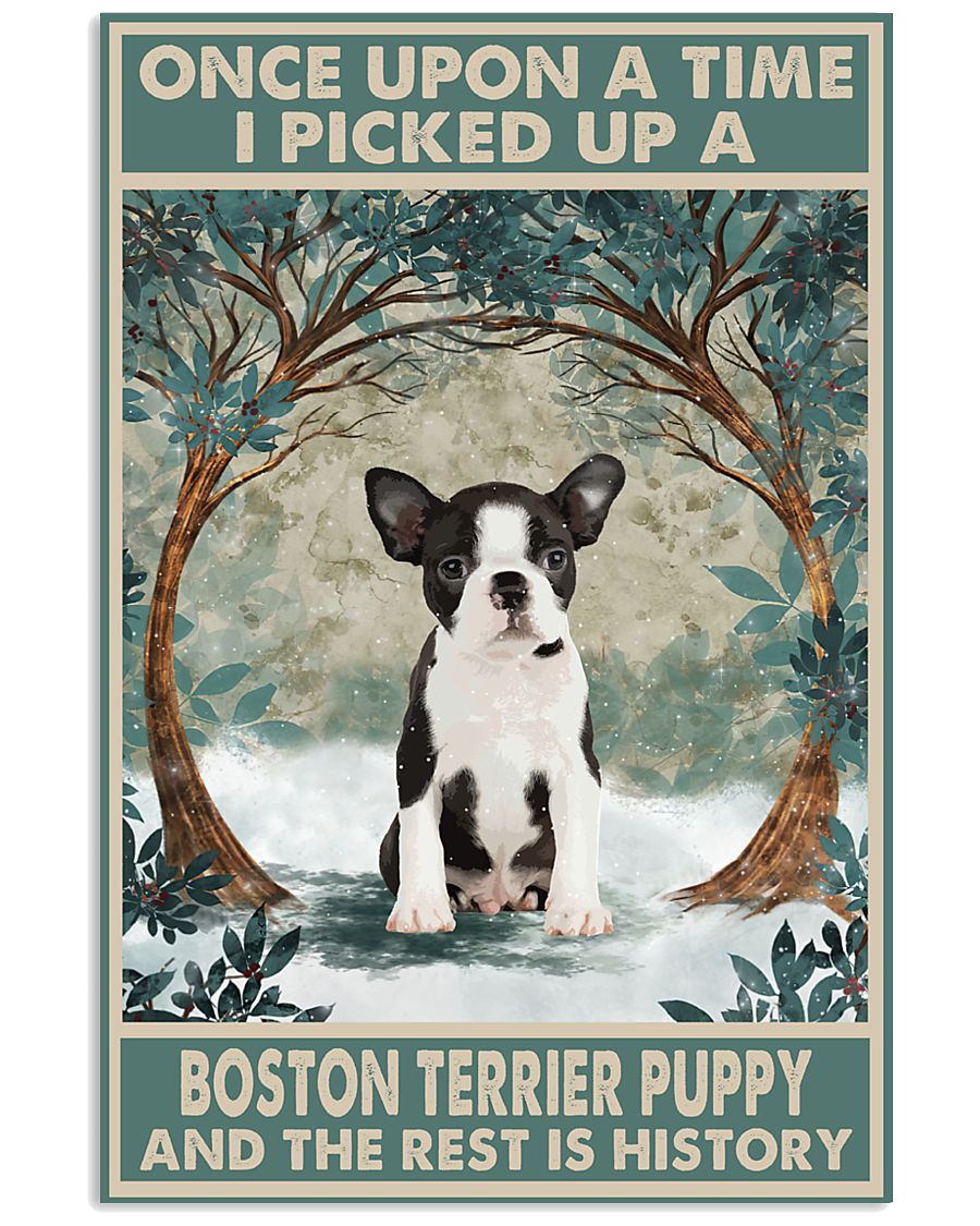 Boston Puppy Once Upon A Time-8527