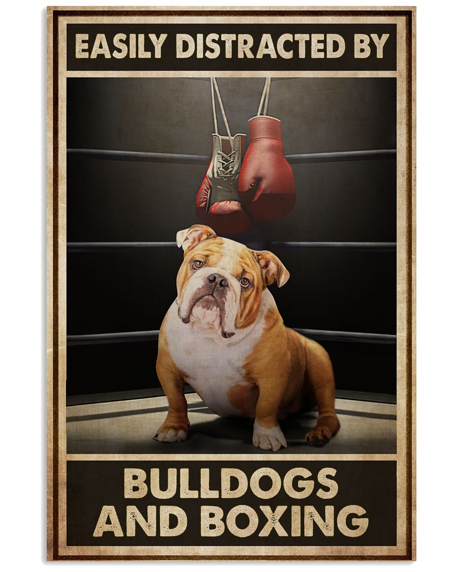 Bulldogs And Boxing-9884