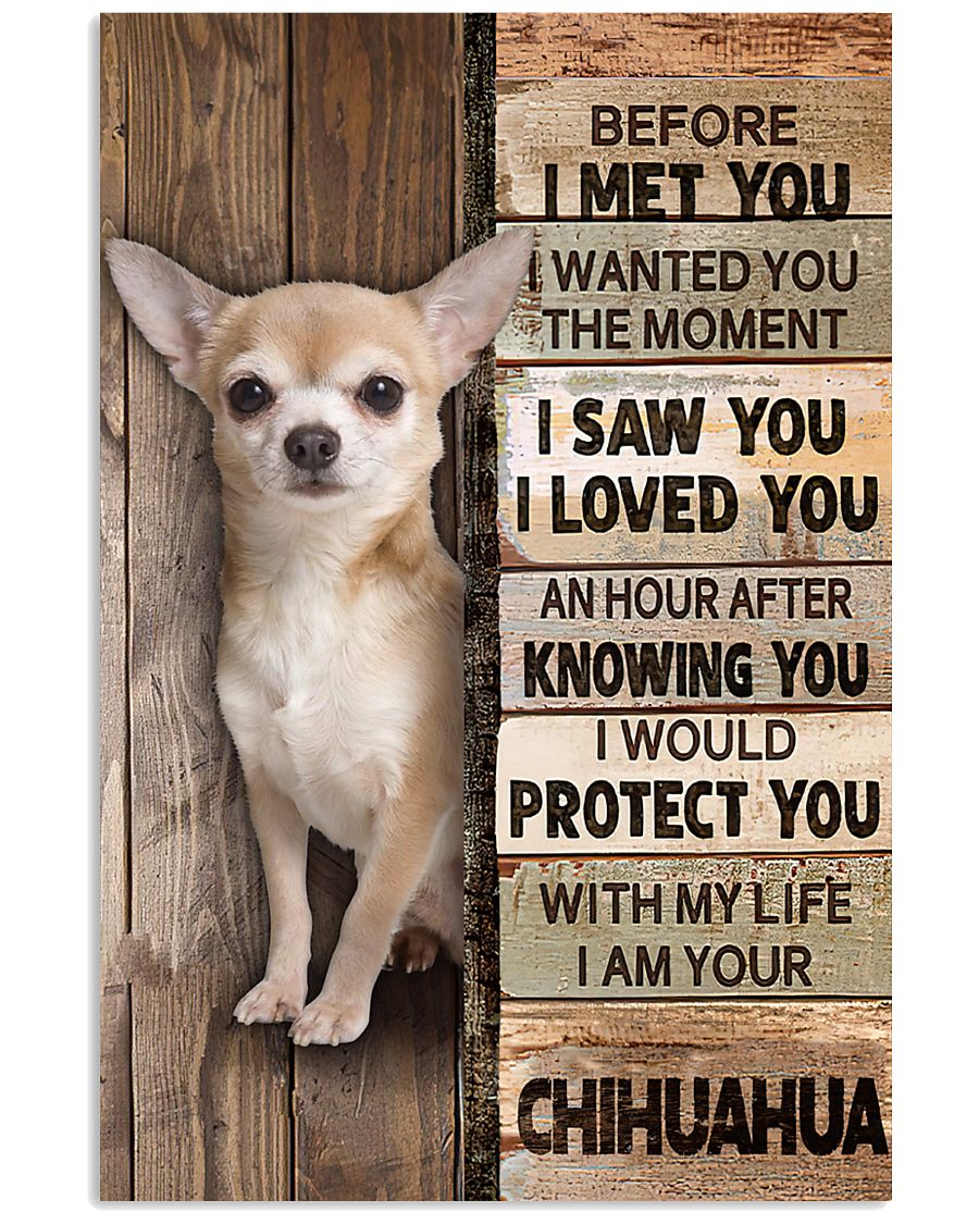 Chihuahua Before I Met You-9249