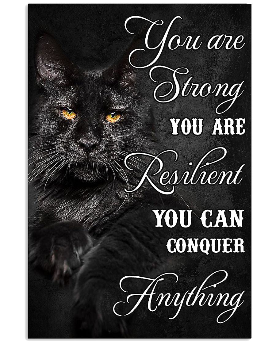 maine coon cat strong resilient pt phq ngt-5986