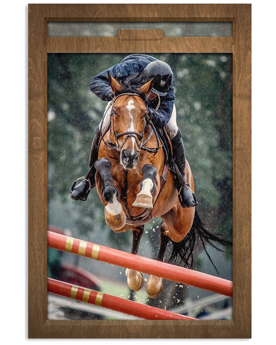 Show Jumping Window-2135