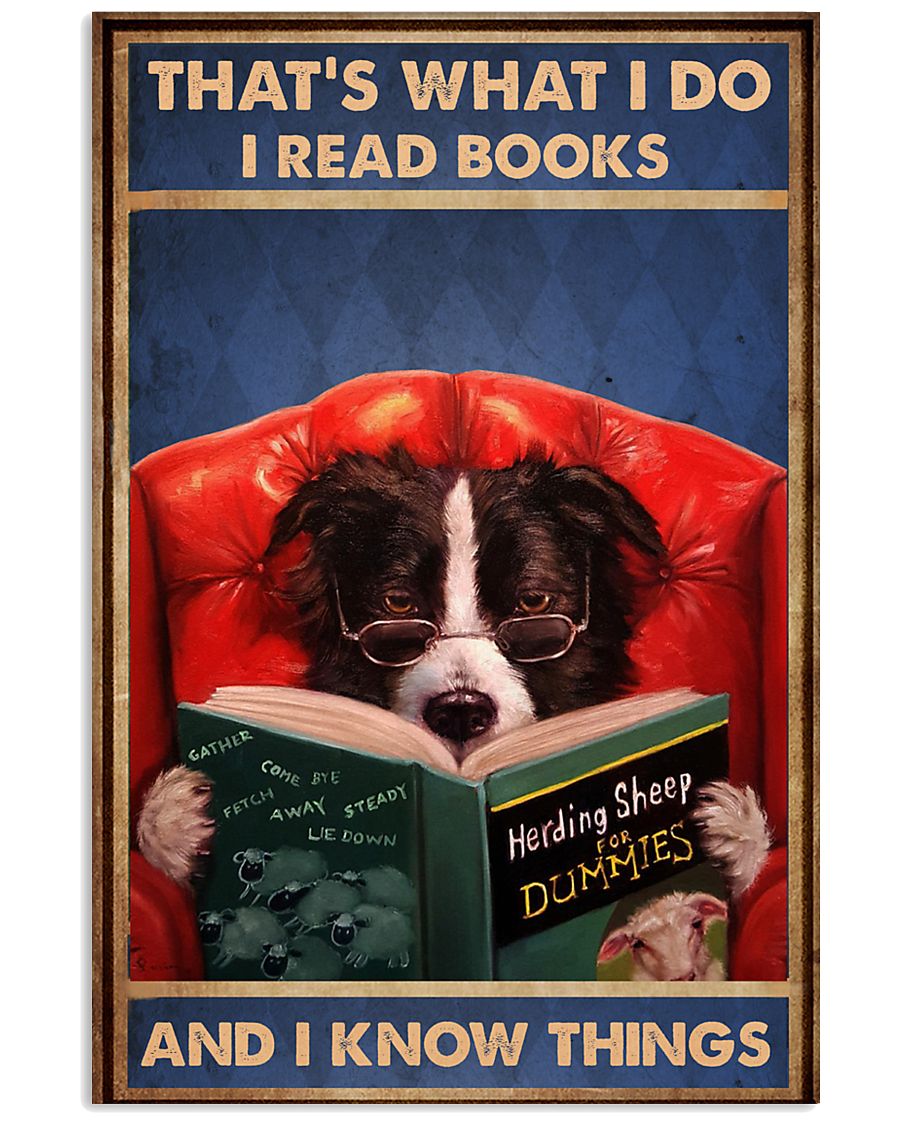 Border Collie Reads Book-9146