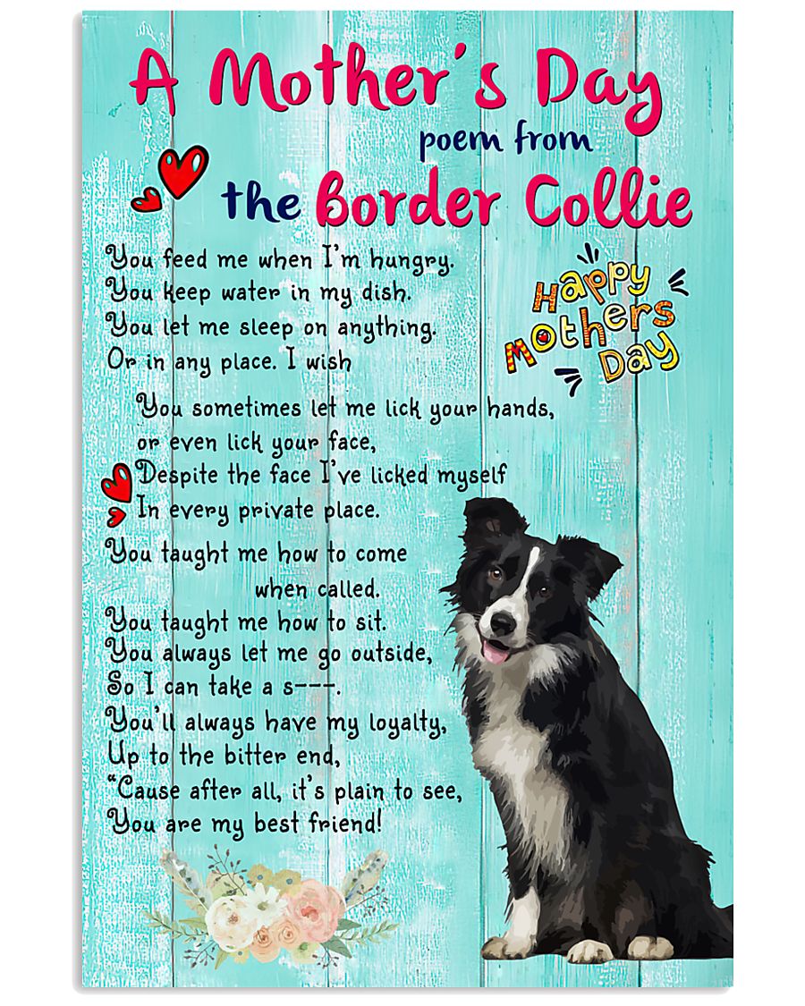 Border Collie My Best Friend-9979