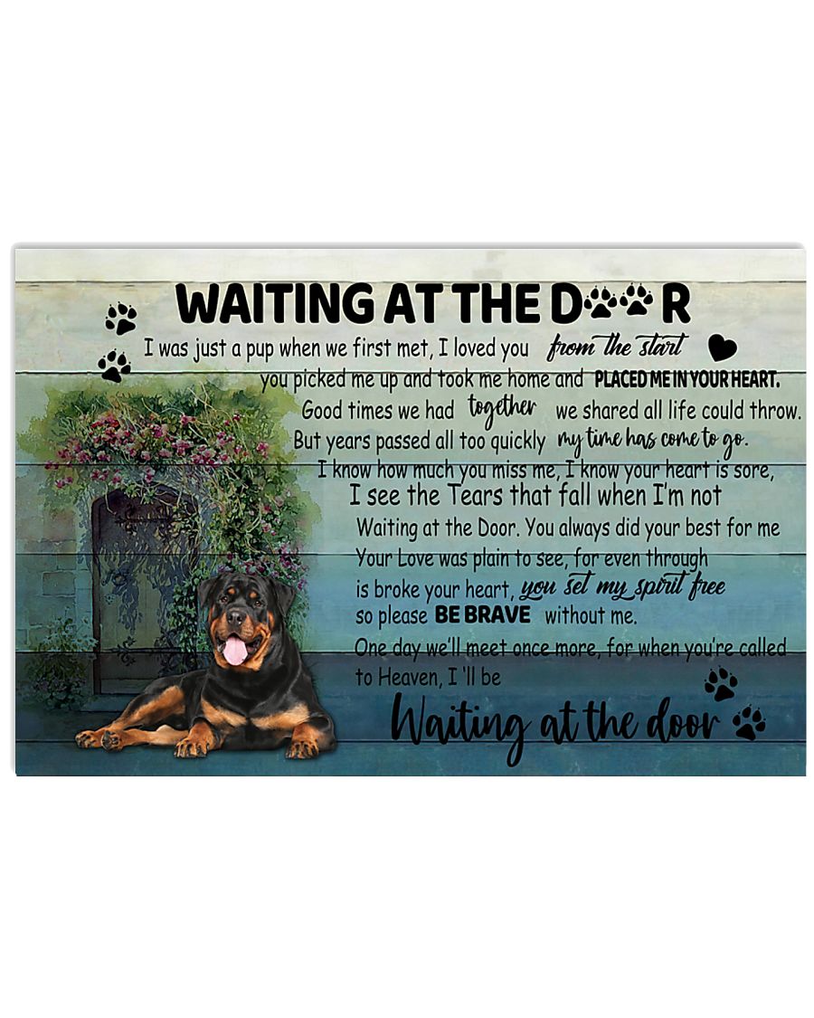 rottweiler waiting at the door-6023