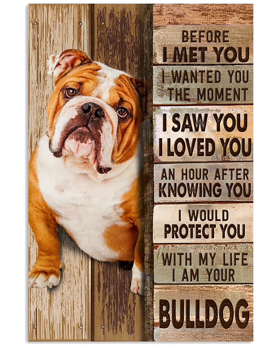 Bulldog Before I Met You -2810