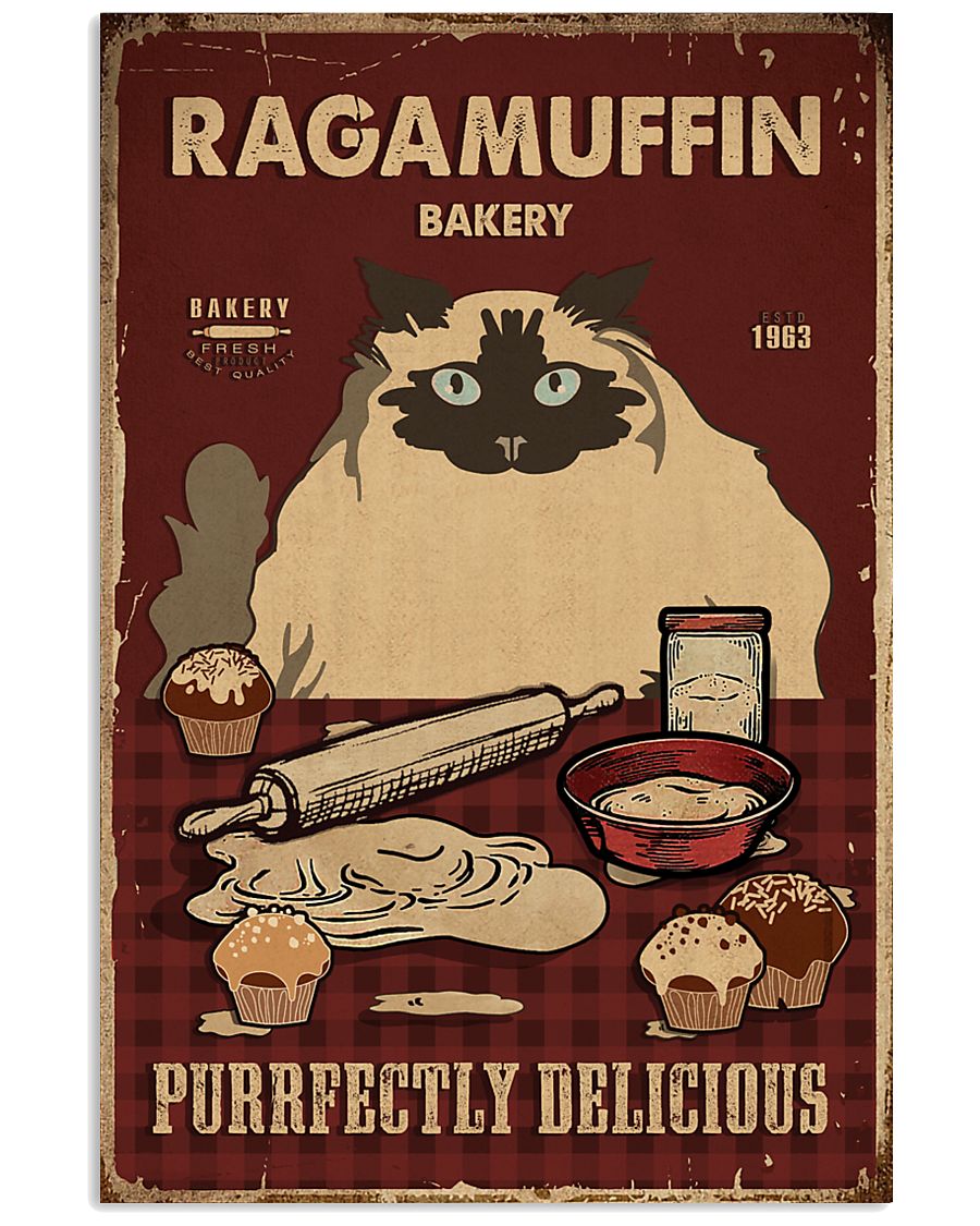 Ragamuffin And Baking RagDoll Cat-8254