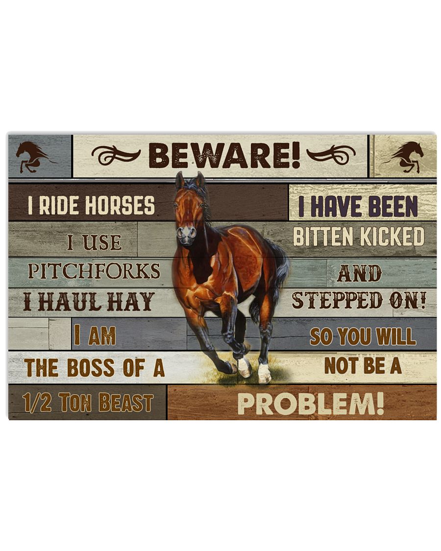 Horse Beware -6909