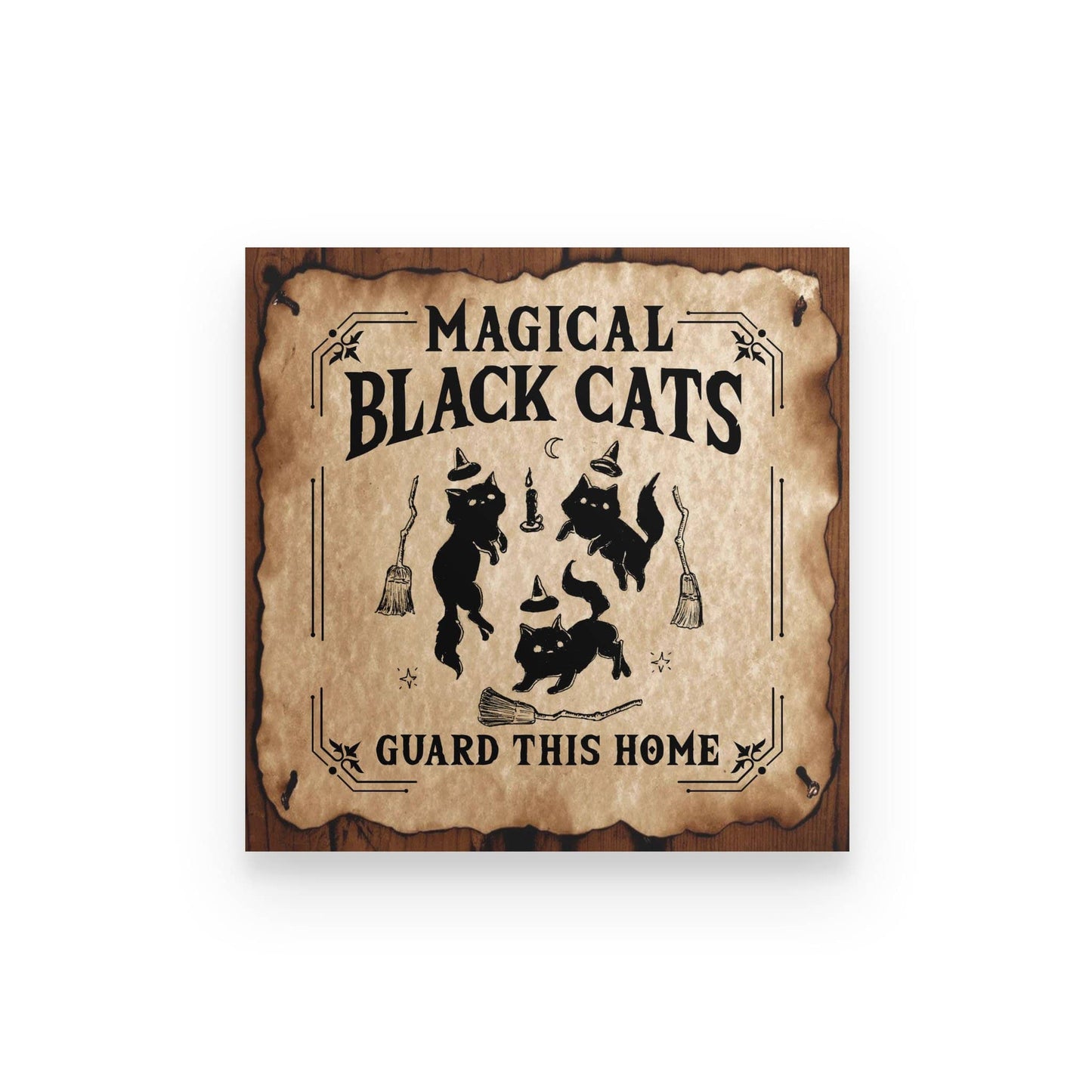 Magical Black Cats Poster